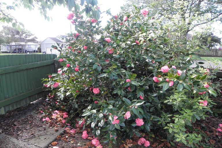 Photo of property in 2 Hobson Place, Takaro, Palmerston North, 4412