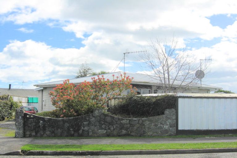 Photo of property in 22 Solway Street, Levin, 5510