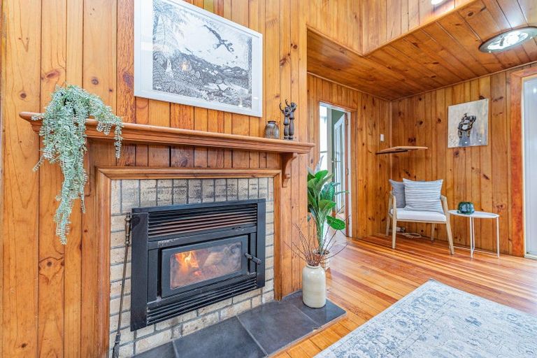 Photo of property in 218 Parahaki Road, Waverley, 4591