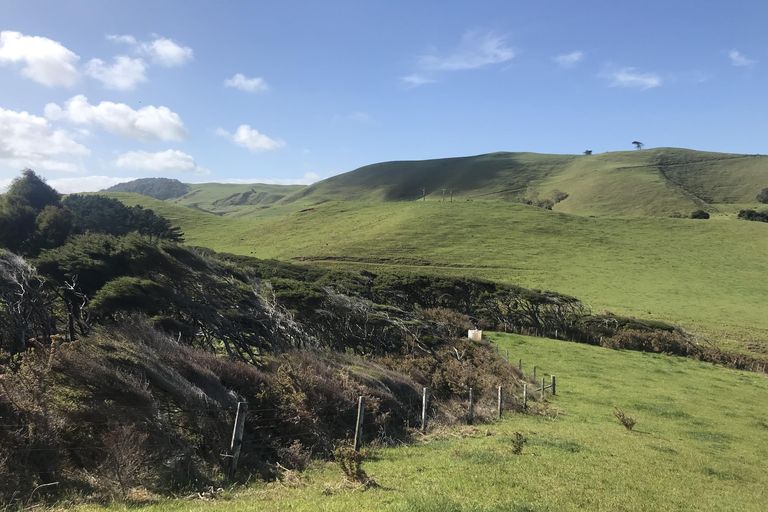 Photo of property in 1809 Whaanga Road, Raglan, 3296