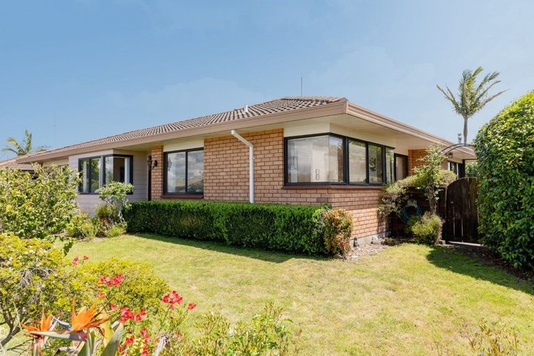 Photo of property in 43a Hibiscus Avenue, Mount Maunganui, 3116