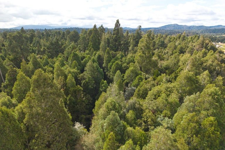 Photo of property in 52 Aratika Drive, Arnold Valley, 7872