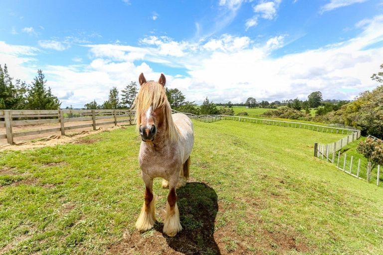 Photo of property in 1375 Carrington Road, Hurworth, New Plymouth, 4371