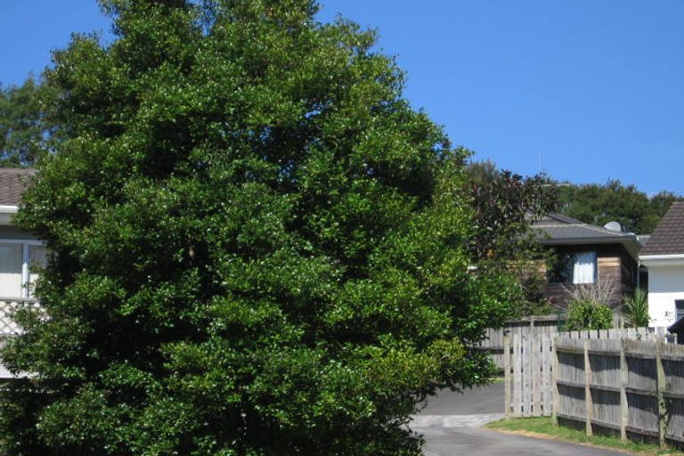 Photo of property in 1/61 Langana Avenue, Browns Bay, Auckland, 0630