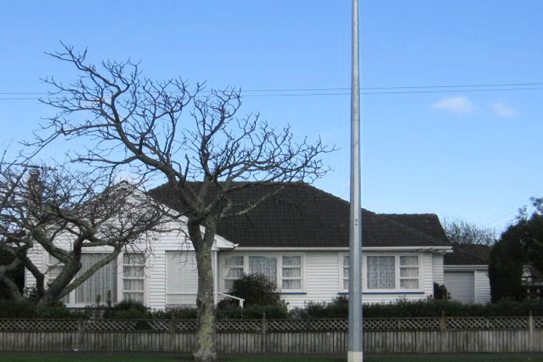 Photo of property in 117 Queen Street West, Levin, 5510