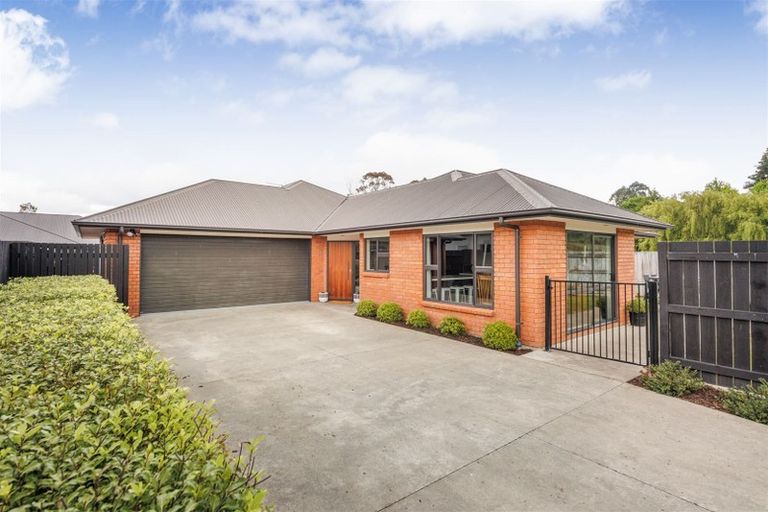 Photo of property in 137 Wyndham Street, Ashhurst, 4810