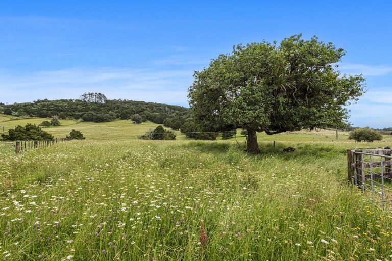 Photo of property in 5685 State Highway 12, Kaikohe, 0472