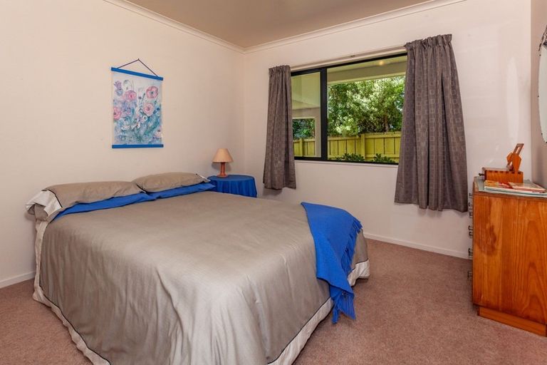 Photo of property in 239 Onemana Drive, Onemana, Whangamata, 3691