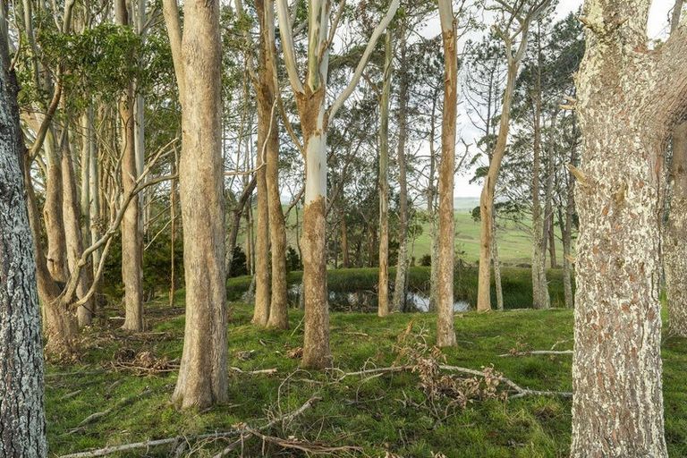 Photo of property in 210 Milne Road, Purua, Whangarei, 0172