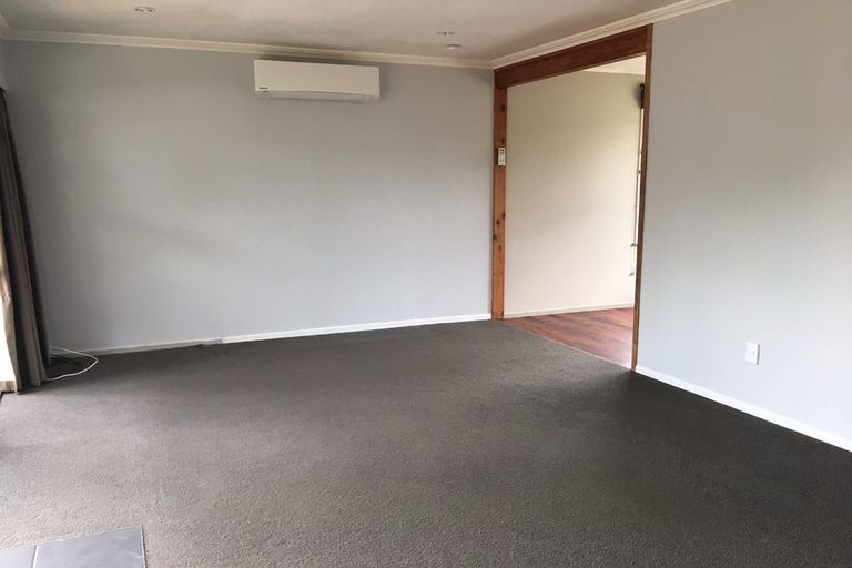 Photo of property in 49 Fitzroy Avenue, Fitzroy, Hamilton, 3206