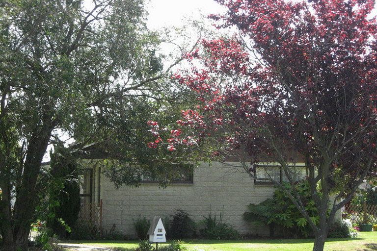 Photo of property in 59 Norrie Street, Redwood, Christchurch, 8051