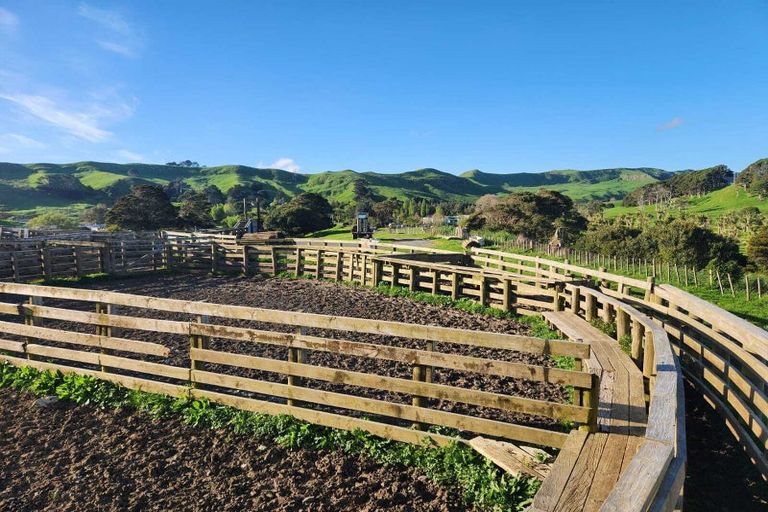 Photo of property in 899 Te Akau Road, Te Akau, Ngaruawahia, 3793