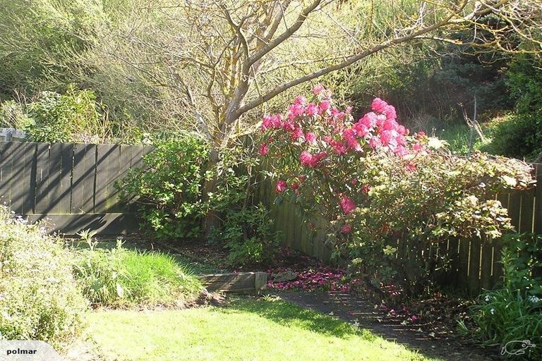 Photo of property in 83 Tahuna Road, Tainui, Dunedin, 9013