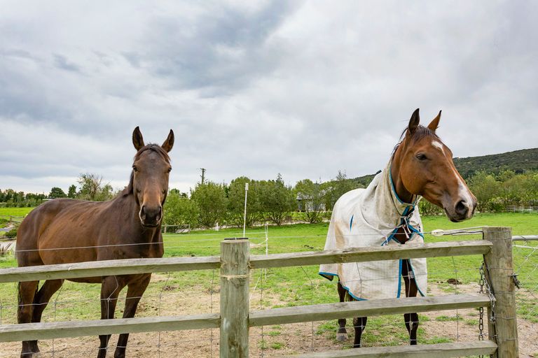 Photo of property in 38 Tara Hills Drive, North Taieri, Mosgiel, 9092