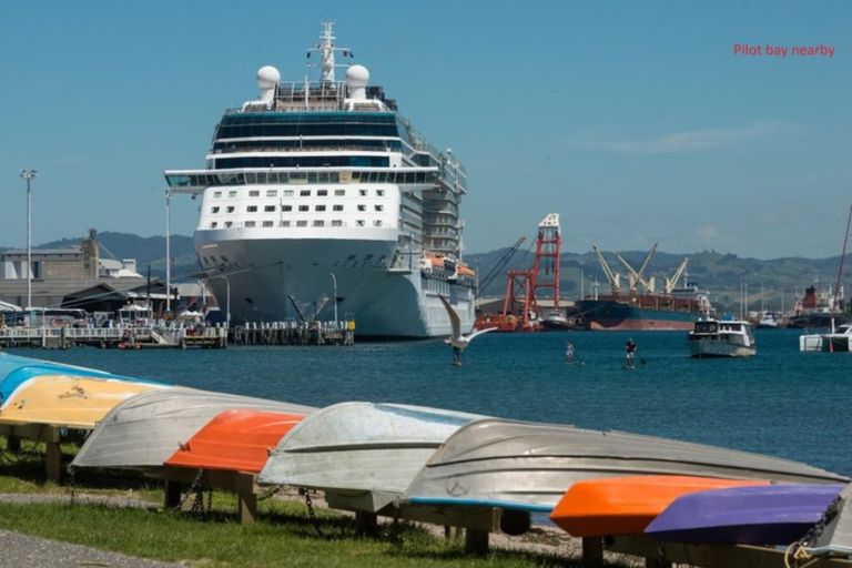 Photo of property in 17a Matai Street, Mount Maunganui, 3116