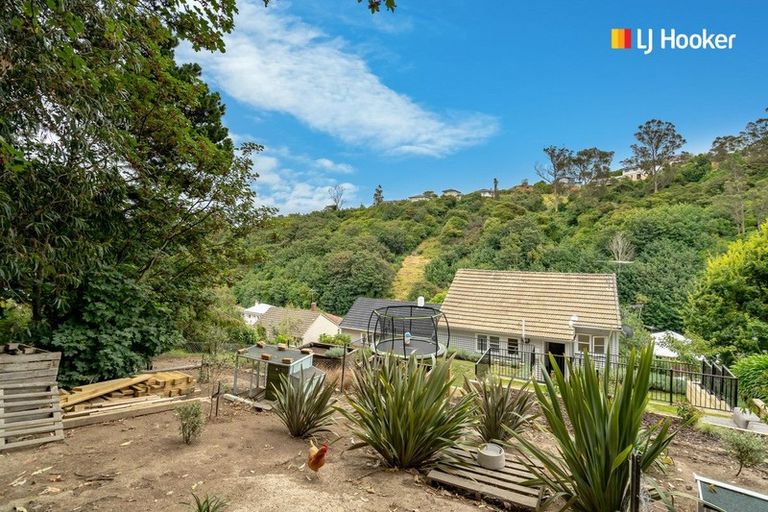 Photo of property in 88 Somerville Street, Andersons Bay, Dunedin, 9013