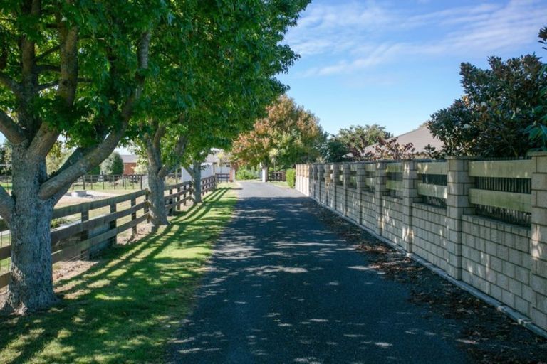 Photo of property in 69 Saint Leger Road, Te Awamutu, 3875