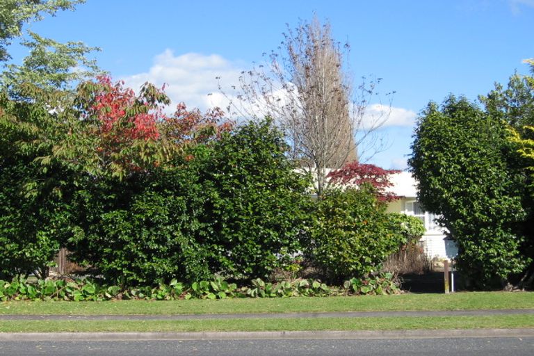 Photo of property in 21 Ruru Crescent, Putaruru, 3411