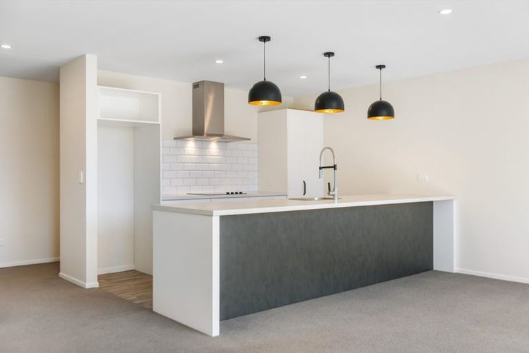 Photo of property in 4 Parkburn Lane, Mount Pisa, Cromwell, 9383