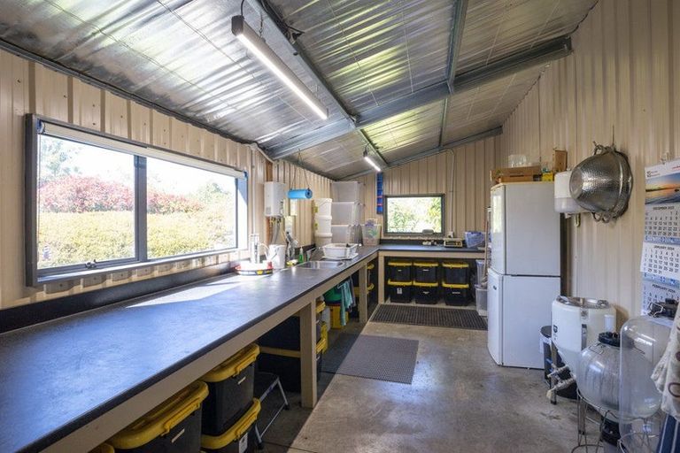 Photo of property in 60 Golden Hills Road, Appleby, Richmond, 7081