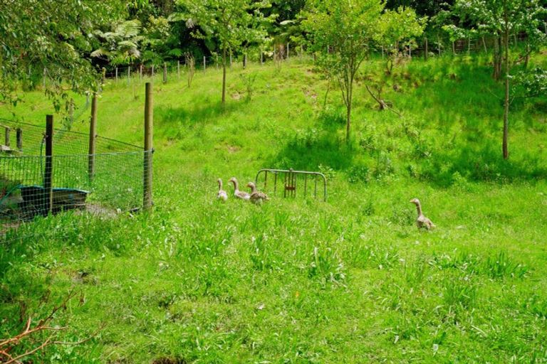 Photo of property in 5 Williams Road South, Pyes Pa, Tauranga, 3173