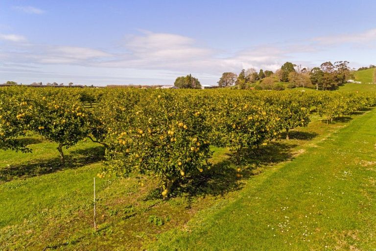 Photo of property in 32 Patutahi Road, Patutahi, Gisborne, 4072