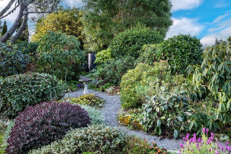 Photo of property in 155 Downs Road, Geraldine Downs, Geraldine, 7991