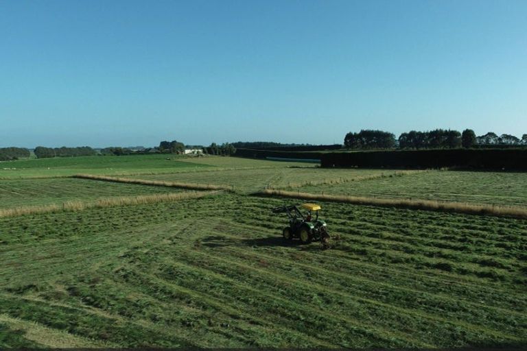 Photo of property in 155 Tussock Creek Grove Bush Road, Grove Bush, Invercargill, 9872