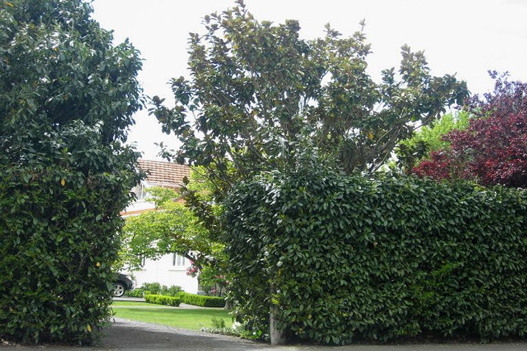 Photo of property in 6 Monro Street, Blenheim, 7201