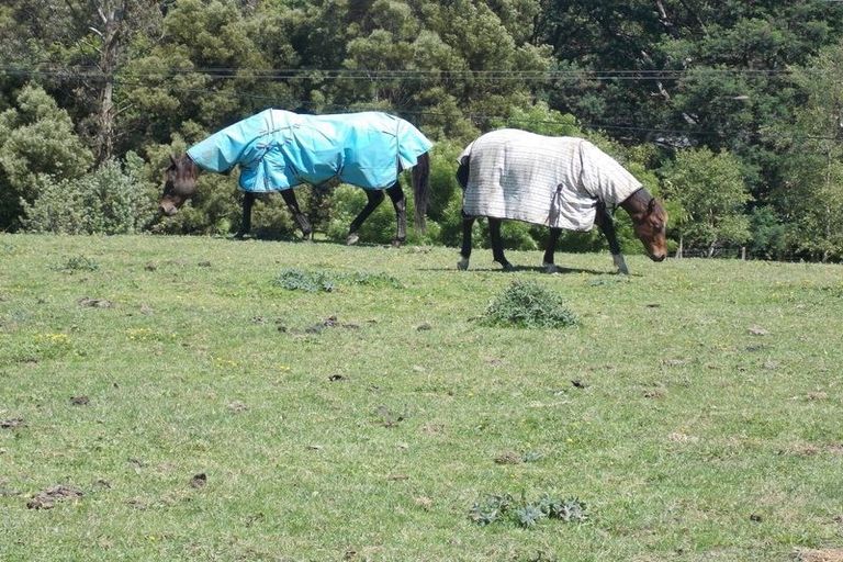 Photo of property in 349 Turitea Road, Turitea, Palmerston North, 4472