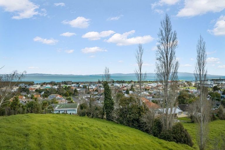 Photo of property in 205 Augustus Street South, Thames, 3500