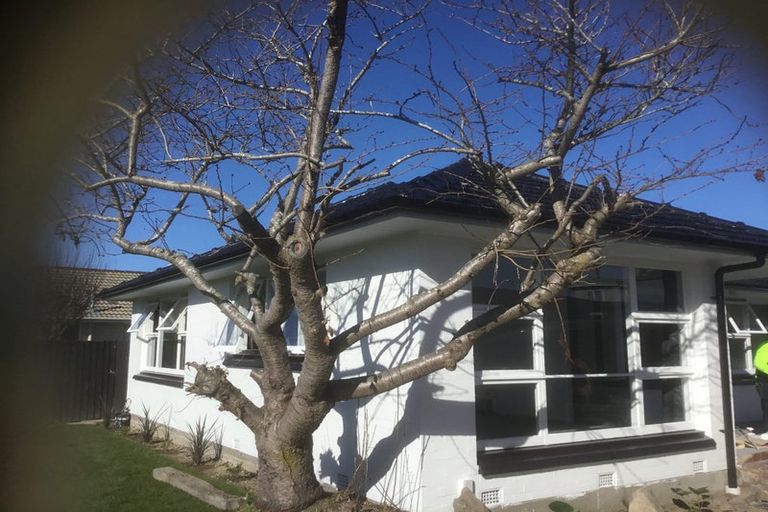 Photo of property in 54 Woolley Street, Avondale, Christchurch, 8061