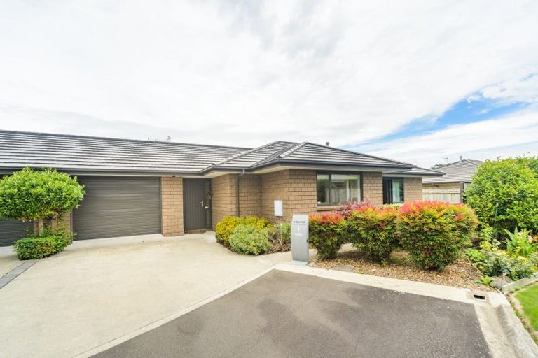 Photo of property in 4/550 Church Street, Terrace End, Palmerston North, 4410