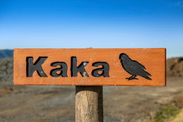 Photo of property in 223 Tuhirangi Road, Makarau, Warkworth, 0984