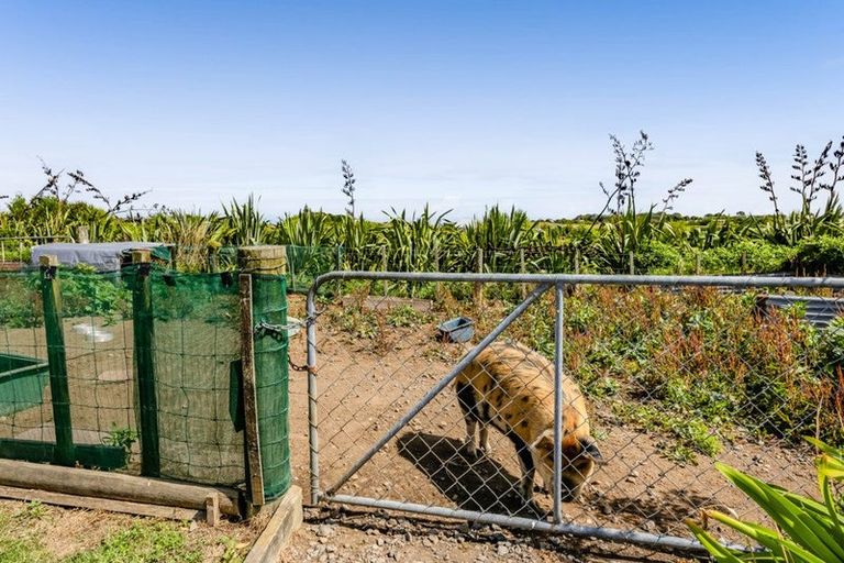 Photo of property in 630 South Road, Omata, New Plymouth, 4374