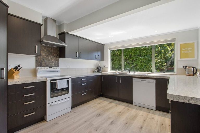 Photo of property in 474 Youngson Road, Whakamarama, Tauranga, 3179