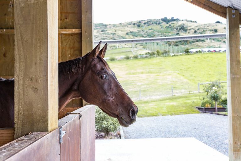 Photo of property in 38 Tara Hills Drive, North Taieri, Mosgiel, 9092