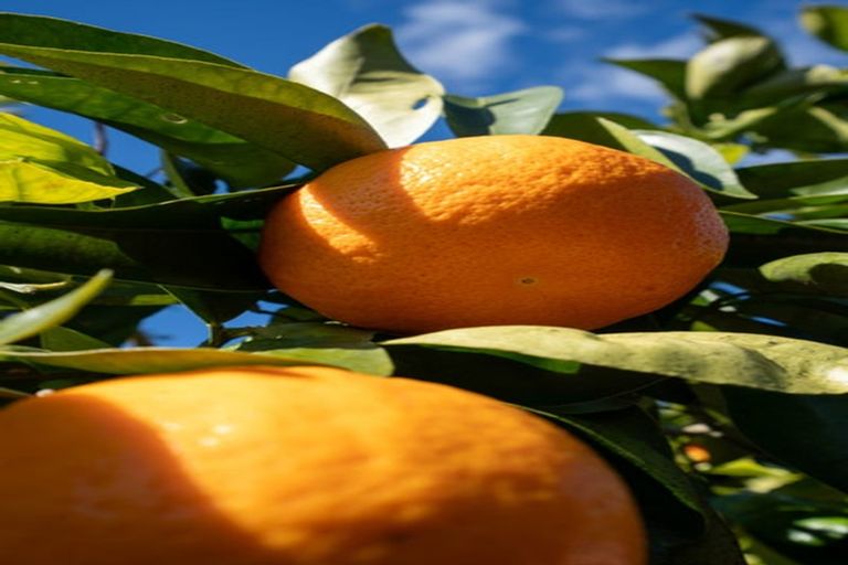 Photo of property in 27 Bowen Street, Cambridge, 3434