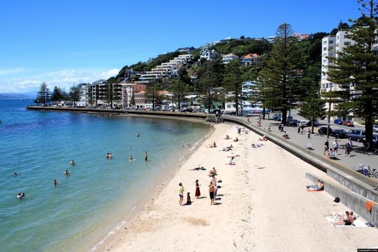 Photo of property in 6/308 Oriental Parade, Oriental Bay, Wellington, 6011