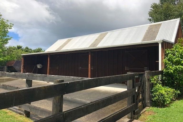 Photo of property in 15 Mcgiven Place, Coatesville, Albany, 0793