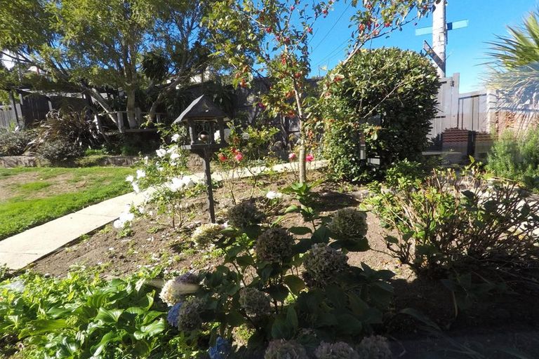 Photo of property in 177 Signal Hill Road, Opoho, Dunedin, 9010