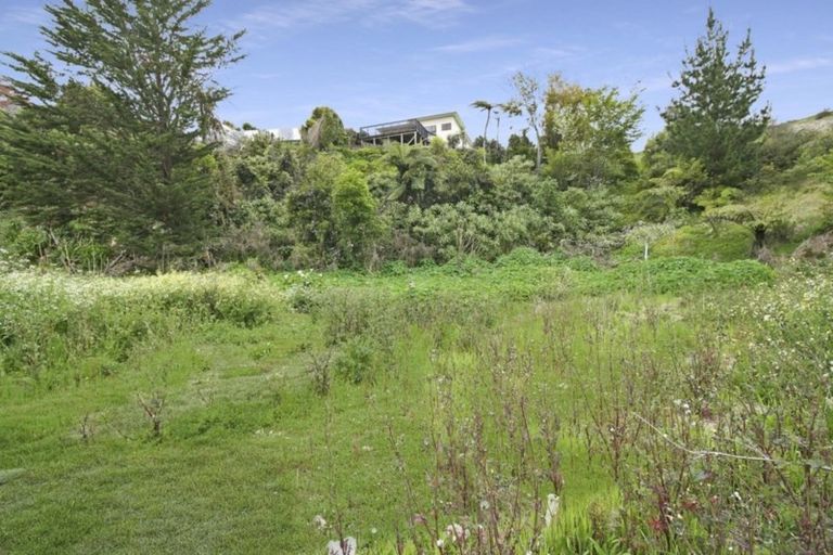 Photo of property in 12b Cherry Lane, Hurdon, New Plymouth, 4310