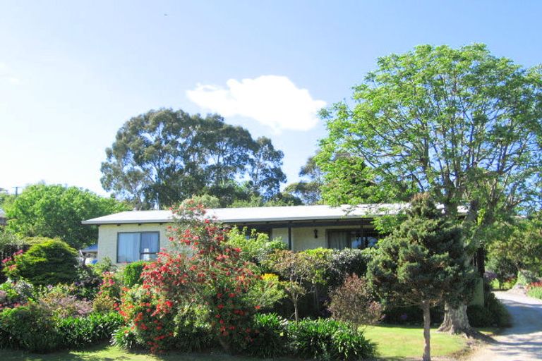 Photo of property in 43c Winter Street, Mangapapa, Gisborne, 4010