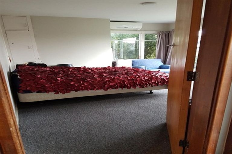 Photo of property in 570 Madras Street, St Albans, Christchurch, 8014