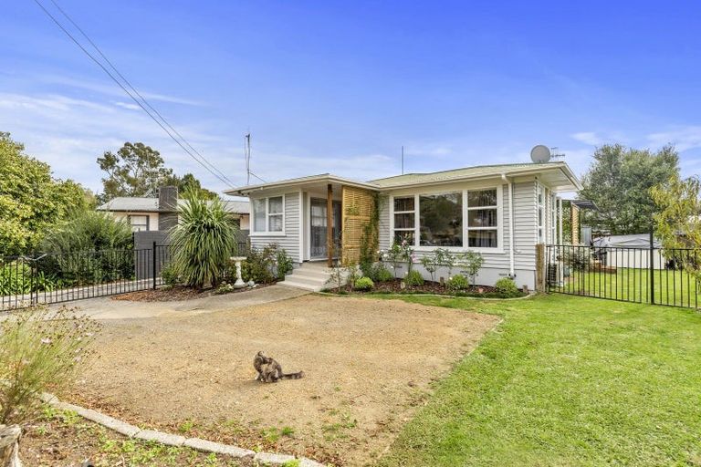 Photo of property in 156 Mahoe Street, Melville, Hamilton, 3206