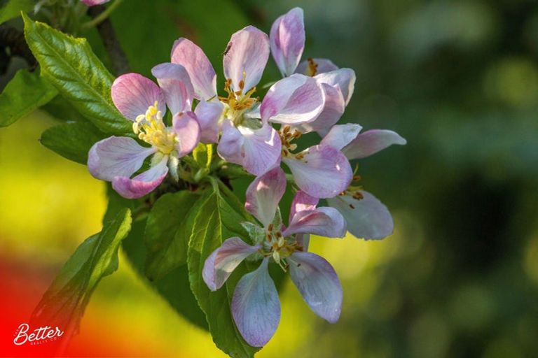 Photo of property in 10 Richmal Street, Waihi, 3610