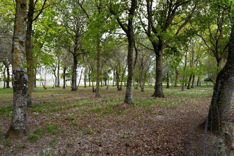 Photo of property in 8 Ingram Road, Waerengaahika, Gisborne, 4071