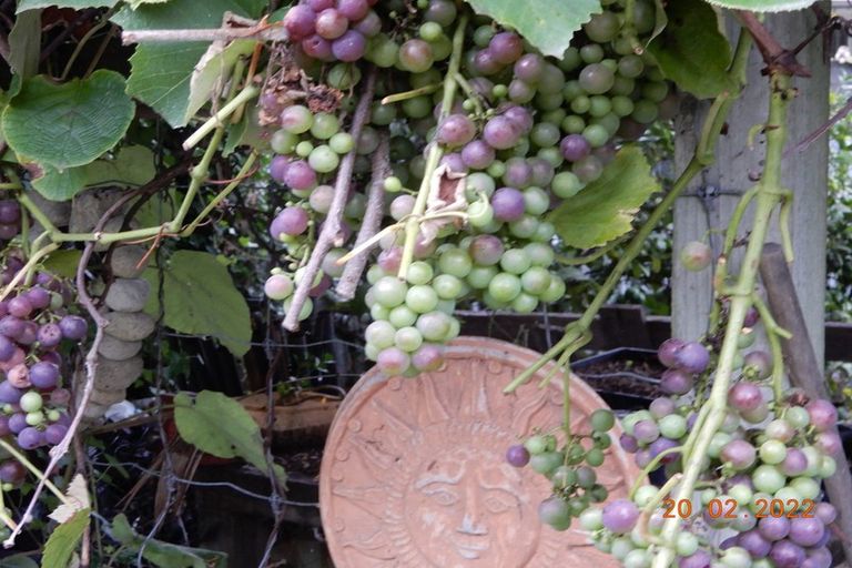 Photo of property in 45 Elbourne Street, Taradale, Napier, 4112