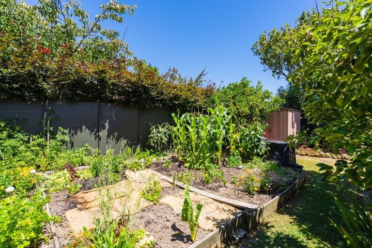 Photo of property in 24 Rewarewa Crescent, Waikanae, 5036