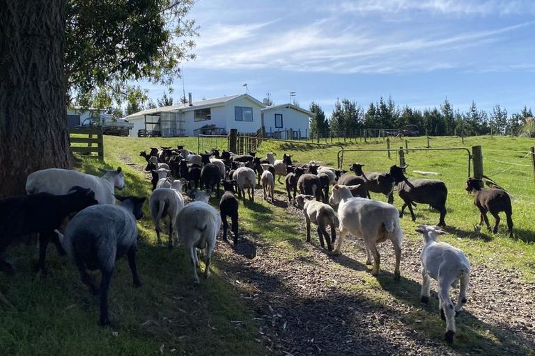 Photo of property in 1302 Pongakawa Bush Road, Pongakawa, Te Puke, 3186